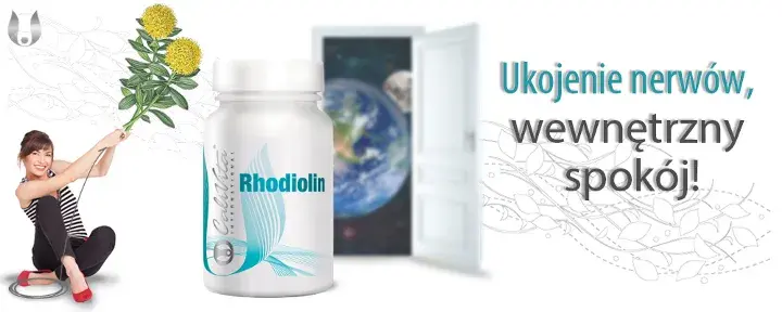 Rhodiolin - ukojenie nerwów