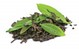 liście zielonej herbaty