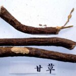 korzeń Glycyrrhiza glabra