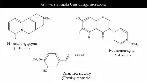 Główne związki chemiczne Cimicifuga racemosa