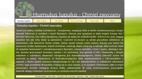 strona o Humulus lupulus - Chmiel zwyczajny