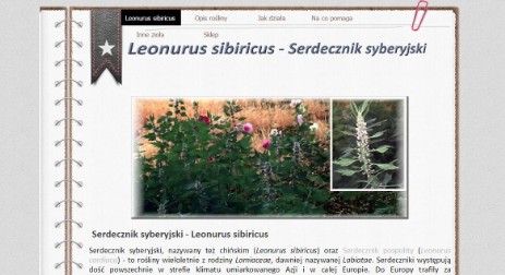 strona o Leonurus sibiricus -  Serdecznik syberyjski
