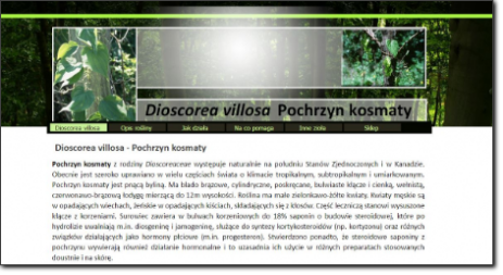 strona o Dioscorea villosa - Pochrzyn kosmaty